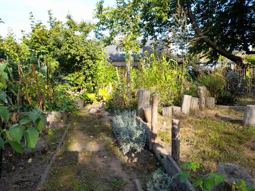 gartenprojekt_koboldland_2023