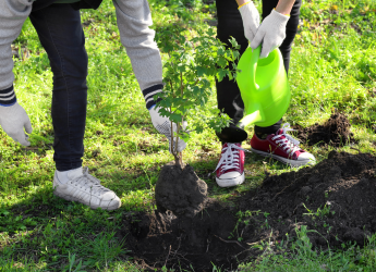 Freie FÖJ-Stelle für 2024/25