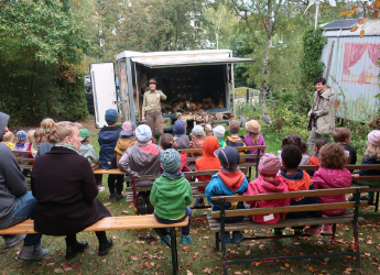 Natur Pur im Wirbelwind