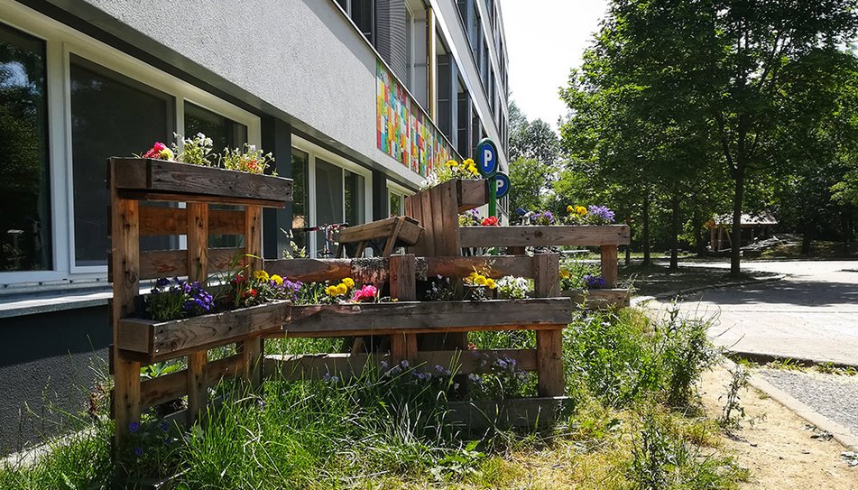 Beete auf dem Schulgelände