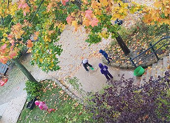 Es gibt kein schlechtes Herbstwetter im Löwenzahn